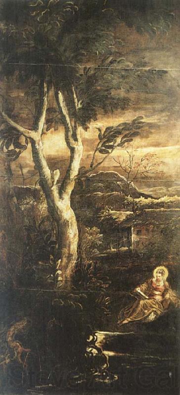 TINTORETTO, Jacopo Mary Magdalene